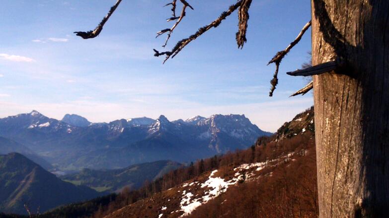 Am Nordgrat 1350m mit Kl. und Gr. Buchstein