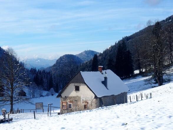 Spitzenbergalm um 1000m