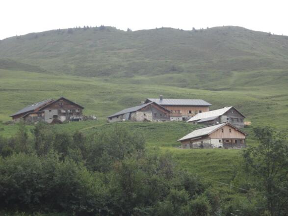 Zafernalpe von unten gesehen