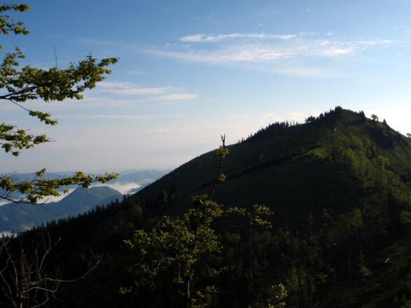 Rückblick zum Burgspitz