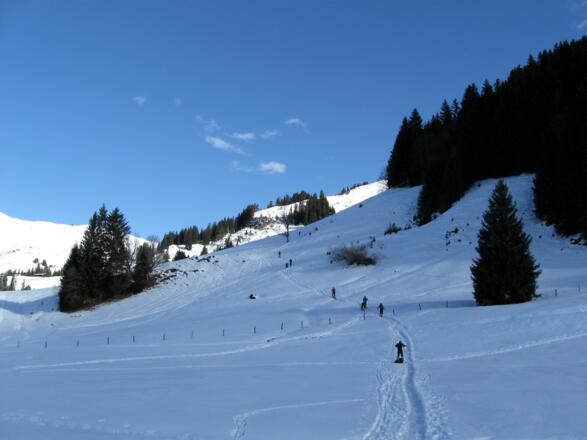 Nach dem Waldstück dreht rechts die Route direkt in den dichten Wald hinein.