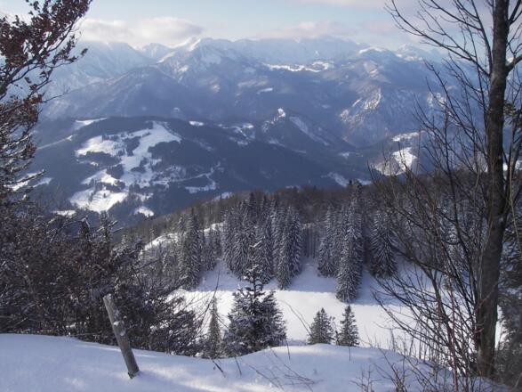Blick von der Gschwendtalm ins Reichraminger Hintergebirge