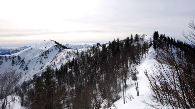 Almkogel und Brunnbacheck