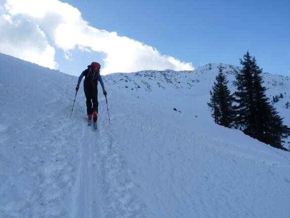 Die Waldgrenze ist überwunden und schon bald erreichen wir das Schneegrubenschartl.