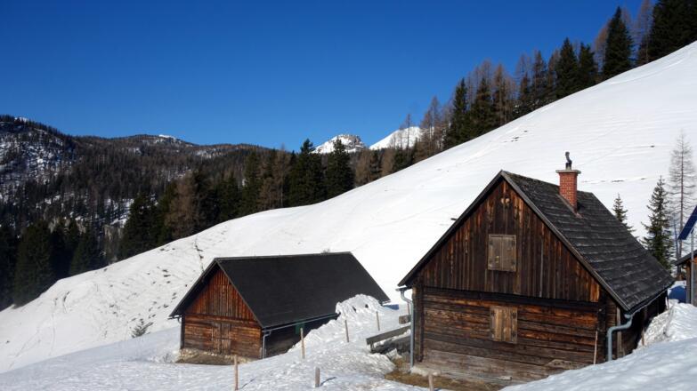 Kreuzbauernalm ~1460m