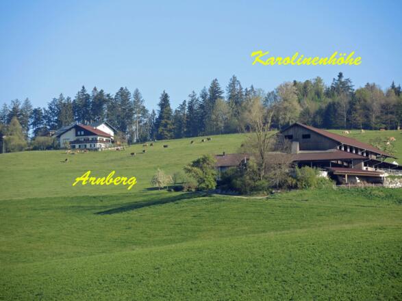Die Ortschaft Arnberg mit Karolinenhöhe