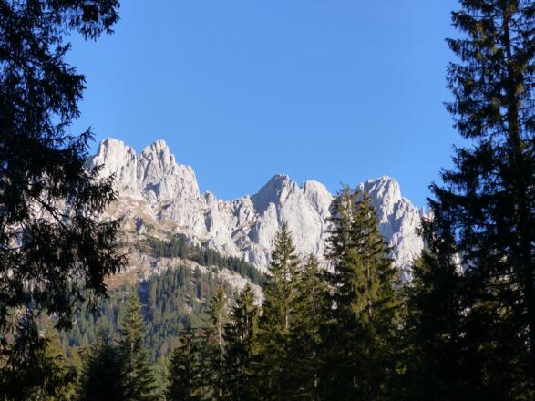 Im wieder geben Baumlücken den Blick auf den Wilden Kaiser frei.