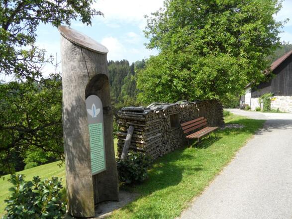 Schattiger Rastplatz