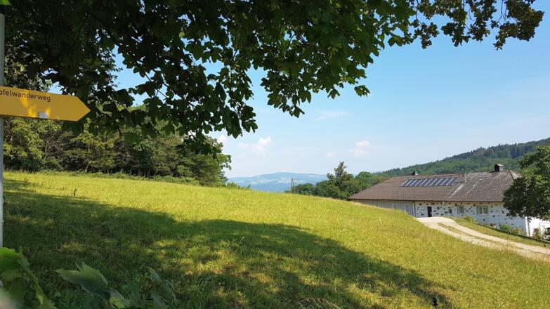 Bio Bauernhof Burger/Brauner