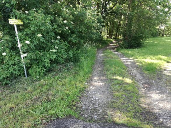 Weiter auf Forststraße