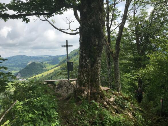 Am Gipfel des Haingrabenecks