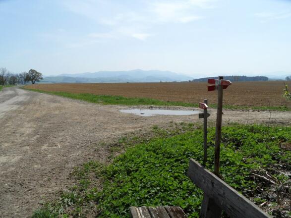 Feldwege führen durch das reiche Land.