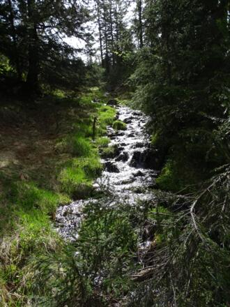 und Bäche...