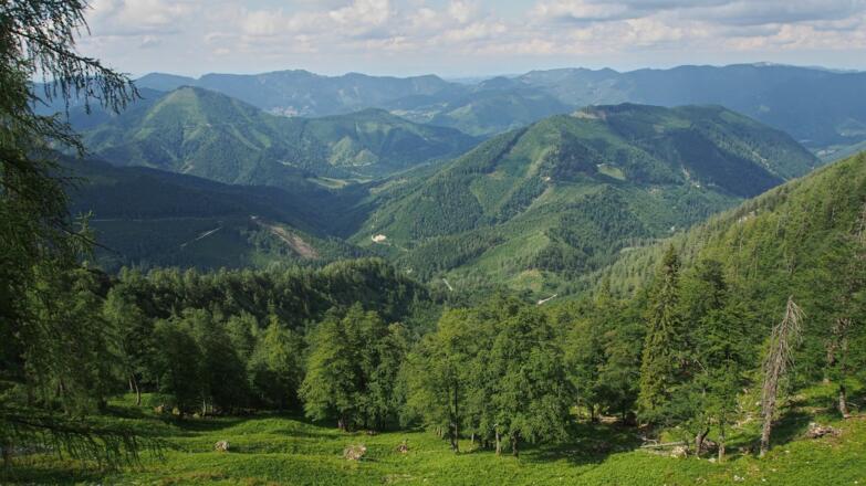 Rückblick vom Langfirst in die Welchau
