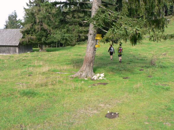 Beim Lugstadl zweigen wir nach links ab Richtung Hintsteiner / Trattenbach