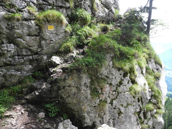Nach links könnte man gleich zum Abstiegsweg gehen - hinauf sind es nur noch wenige Meter zum Gipfel