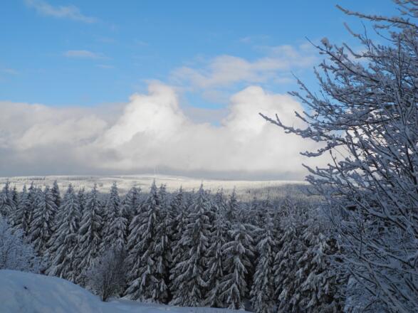 Schneeschuhwandern am Himmeldunkberg