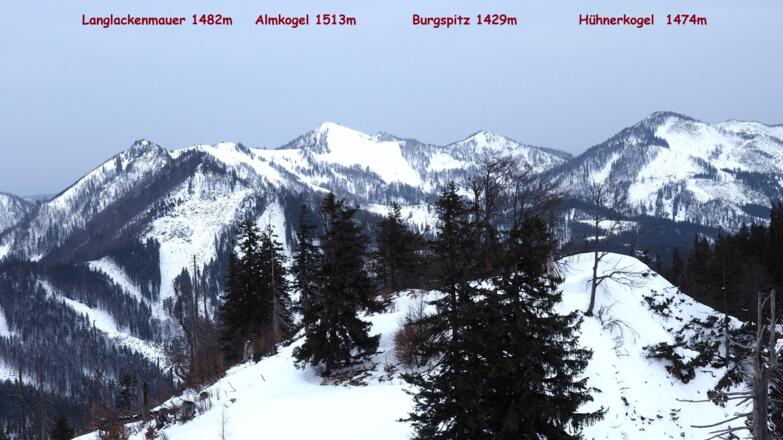 Panoramablick zum Almkogel von ~1445m