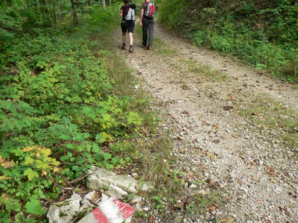 ...dann wieder wenige Schritte über eine Forststraße...