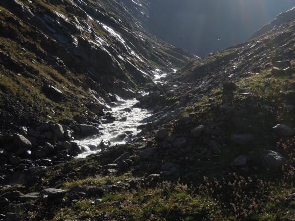Blick ins wilde Schalfbachtal
