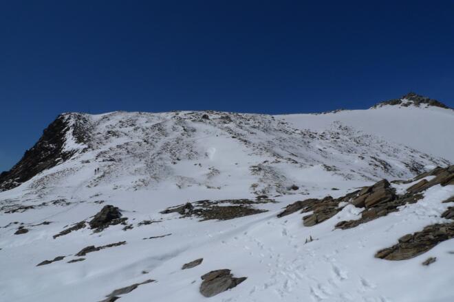 Signalgipfel und Wilder Freiger