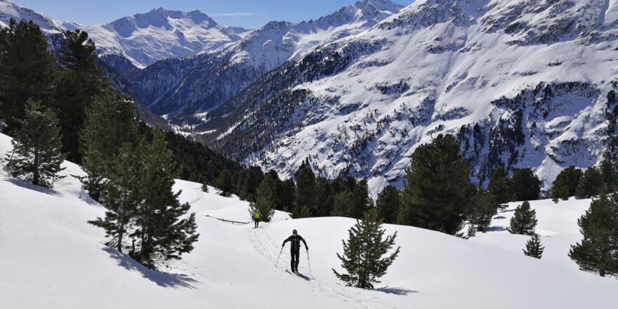 Oberhauser Zirbenwald, kurz vor der Jagdhütte