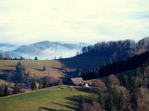 Grünburgerhütte vom Gaisberg 1264m