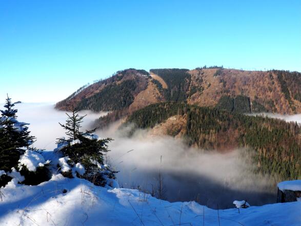 Jägereck ~1060m mit Blick zum Fahrnaugupf im Norden
