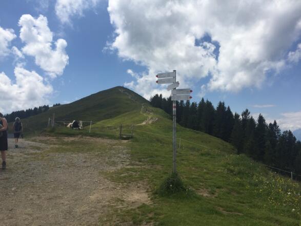Rückblick auf die Hohe Kugel