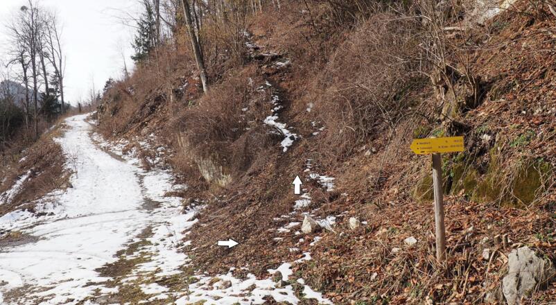 Abzweigung WEG 1a 740 m zum Nixloch, südseitiger Hang