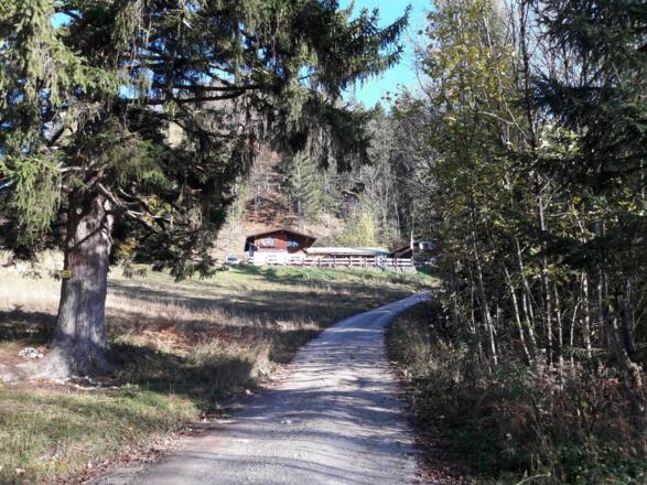 Duxer Alm