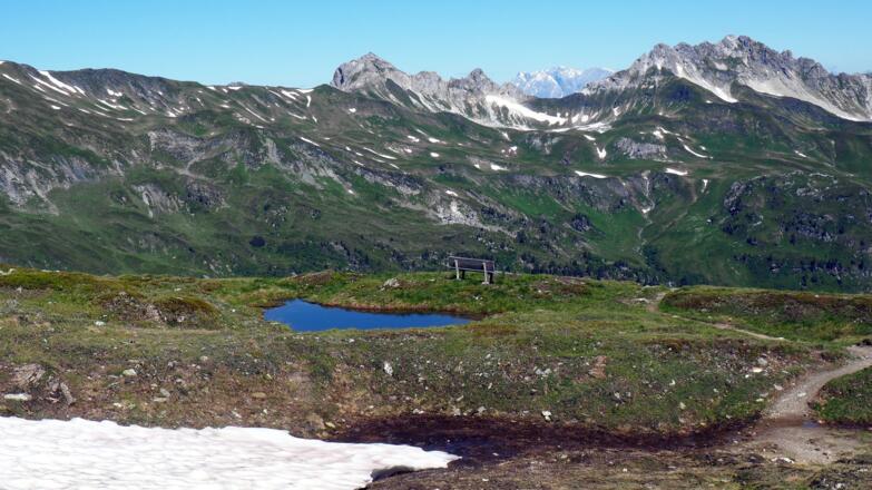 Wir treffen auf den Normalweg (~2230m)