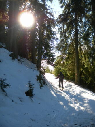 Hohlweg abseits der Piste