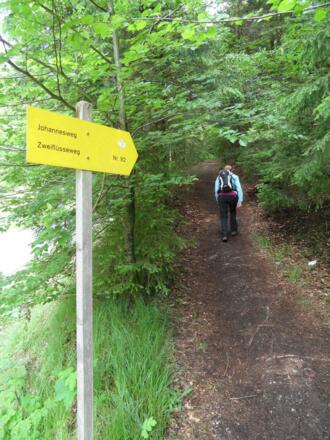 Wegweiser am Waldweg