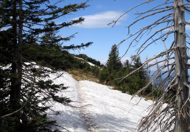 Letzte Schneefelder auf der Eibenbergschneid