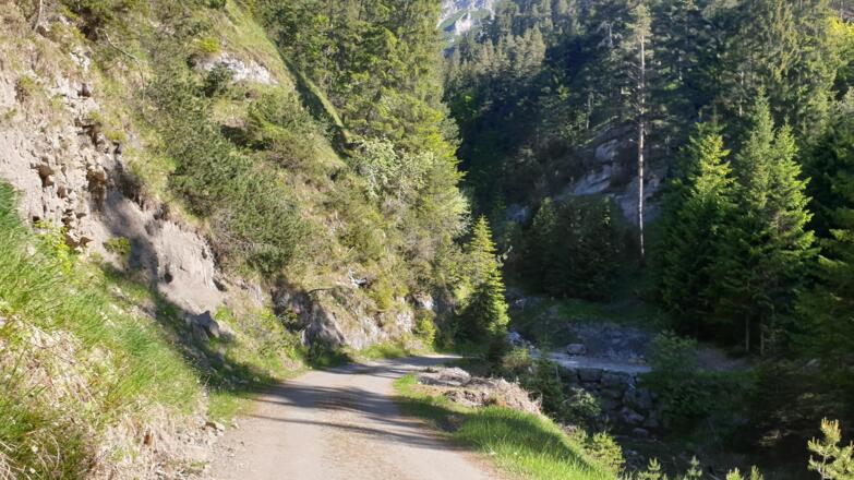 Anfangs recht flach der Forststraße entlang