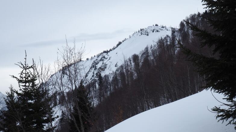 Gipfelblick um 1330m