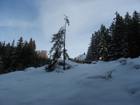 Herrliche Winterlandschaft