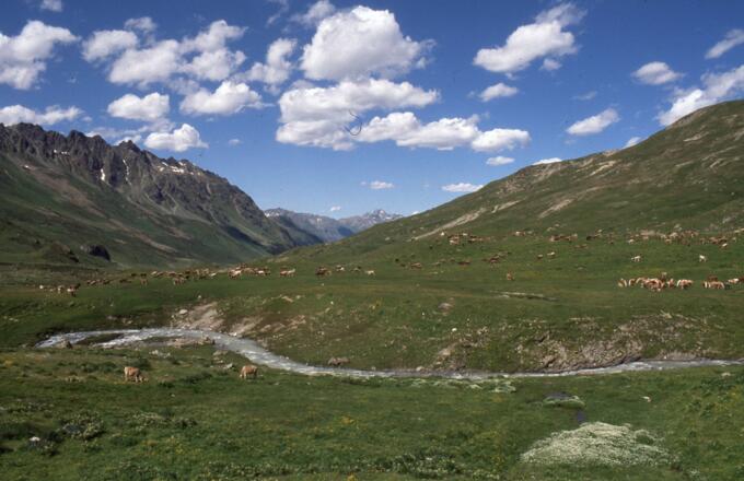 Von Ischgel durchs Fimbatal