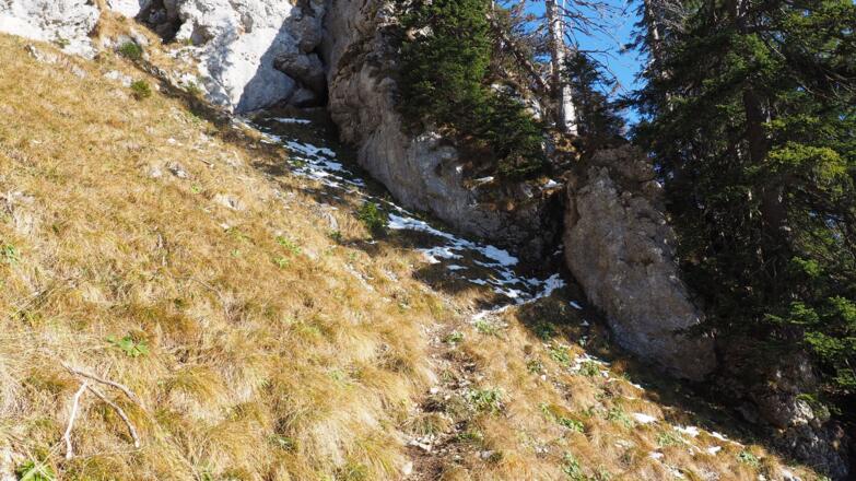 Einstieg ca. 1430m zum Grat ~1555m