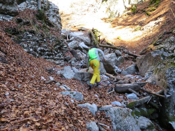 ... bei guter Betreuung ein Abenteuer, bei dem keine Langeweile aufkommt.