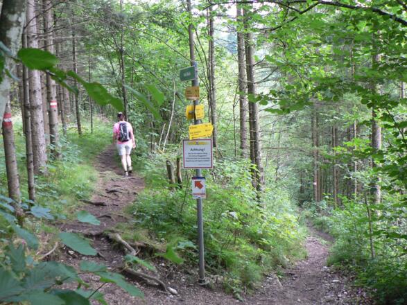 Wir nehmen den linken Weg zurück zum Parkplatz Gradau