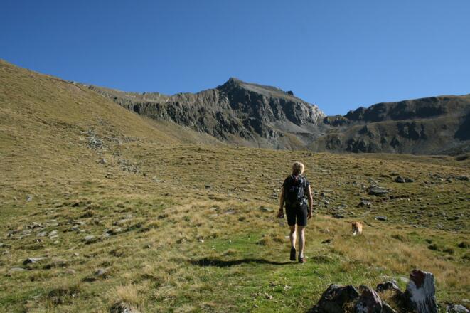 Bei den Zirmbacher Narrenböden mit Blick auf den Rietzer Grießkogel.