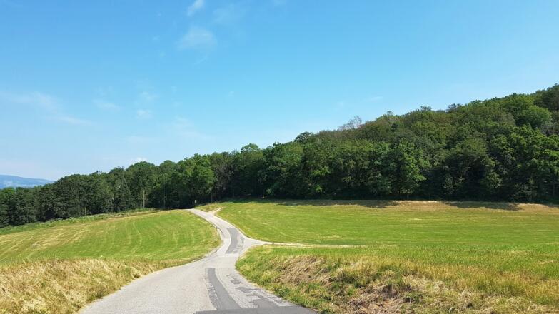Bergkuppe nach 15 Minuten, gleich geht’s rechts rauf in den Wald