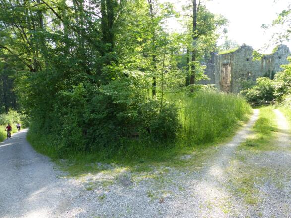 In leichtem Auf und Ab erreichen wir die Ruine des Thaurer Schlosses.