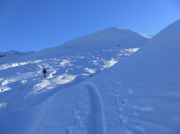NW-Flanke des Schwarzkogels