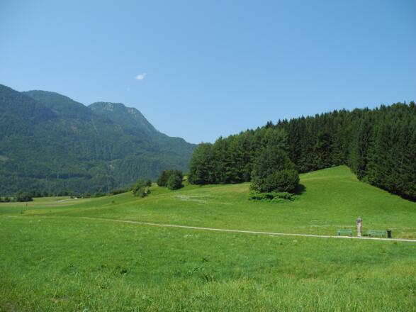 Auch in Stadtnähe von Bad Ischl gibt es noch viel "Grün"-die Sulzbachfelder.