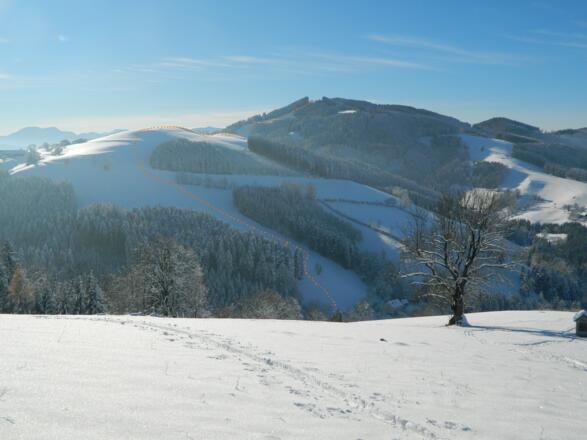 Glasenberg mit Abfahrtsroute