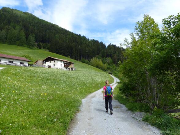 Bevor man in den Wald eintritt, passiert man einen alten Bauernhof.