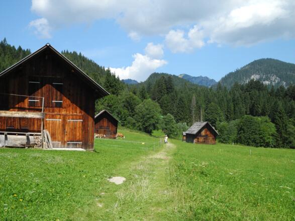 Der Wiesenweg in der Nähe der Blaa-Alm